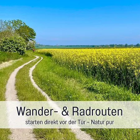 Wasser Ruegen - Meerblick & Dachterrasse, Sauna, Ruhig & Naturnah, 200 M Zur Ostsee - Elements Дранске